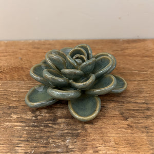 Clay Night | August 12 - Succulent