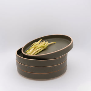 Dinner Plate 4-Pack - Sage