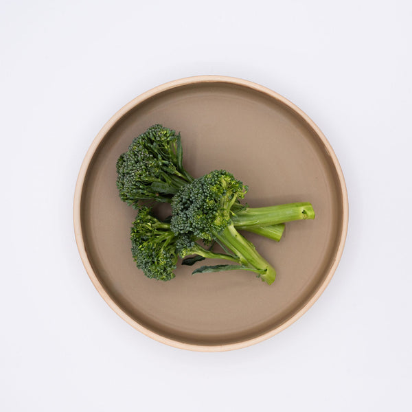 Dinner Plate