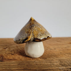 Miniature Mushroom
