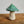 Miniature Mushroom
